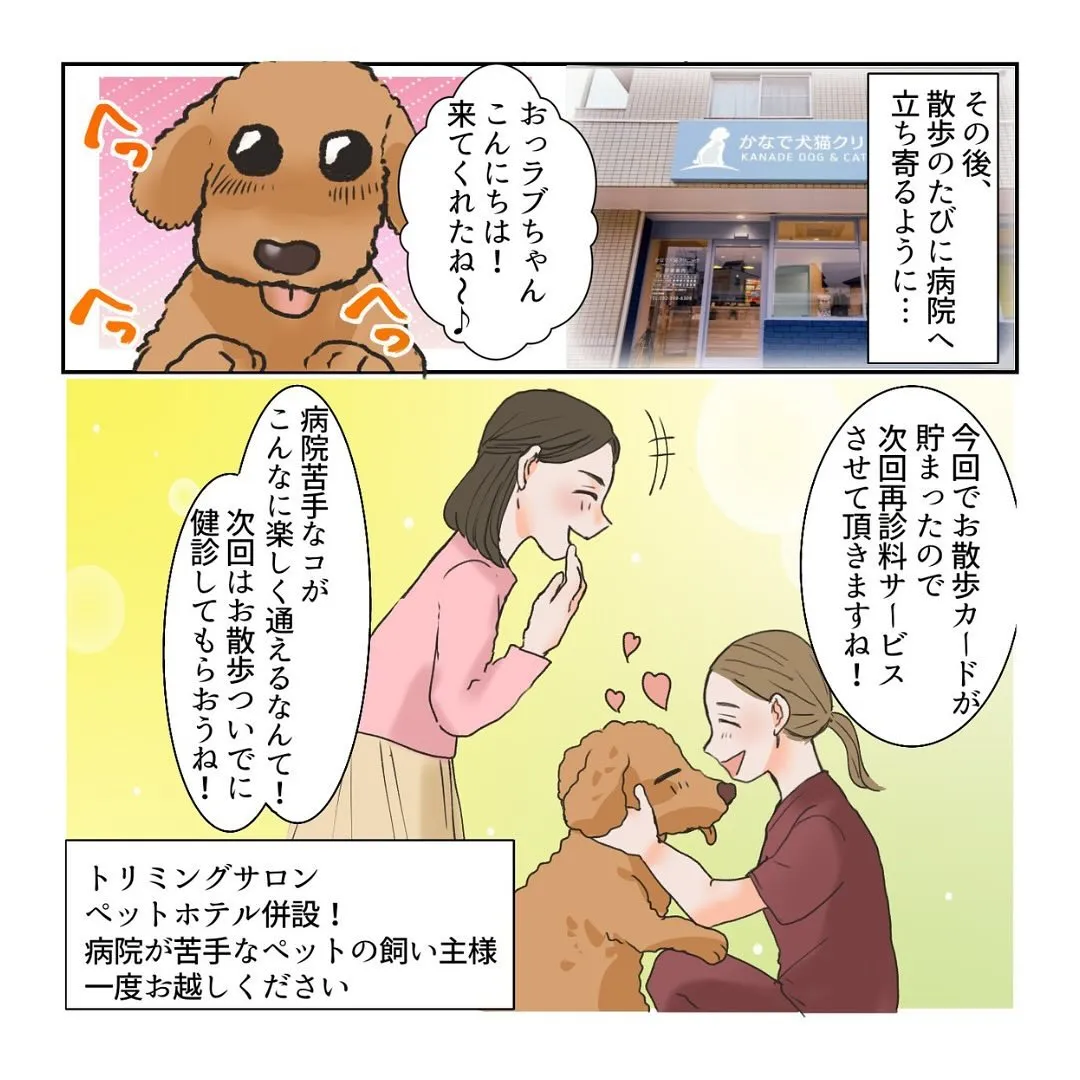 名古屋市西区でペットの事でお悩みなら「かなで犬猫クリニック」...